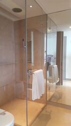 Ardmore Residence (D10), Condominium #433262661
